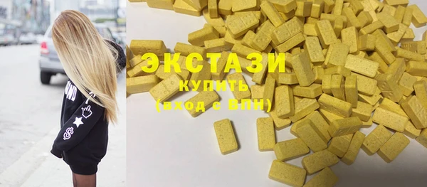амф Ельня