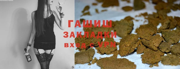амф Ельня