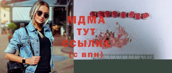 амф Ельня