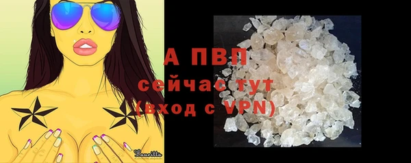 амф Ельня