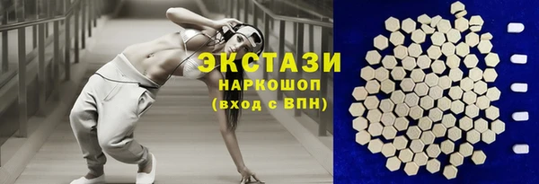 амф Ельня