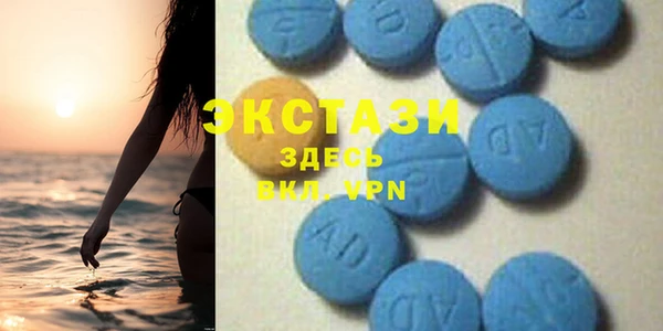амф Ельня
