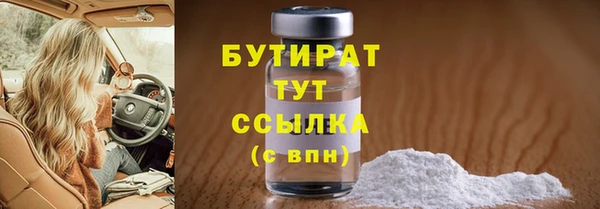 амф Ельня