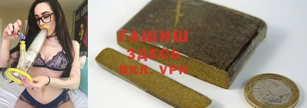 амф Ельня