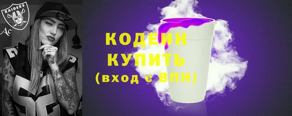 соль ск Елизово