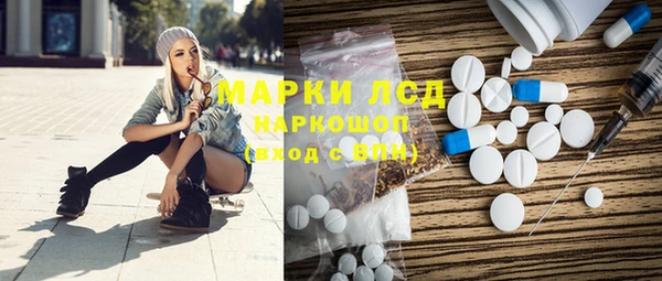 амф Ельня