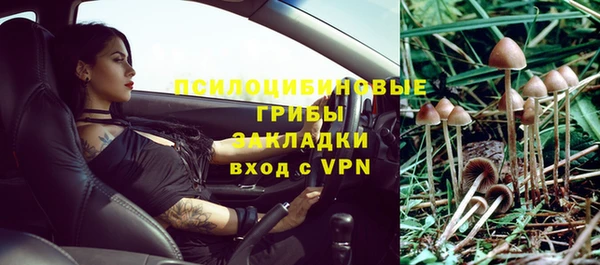 прущие крисы Елабуга