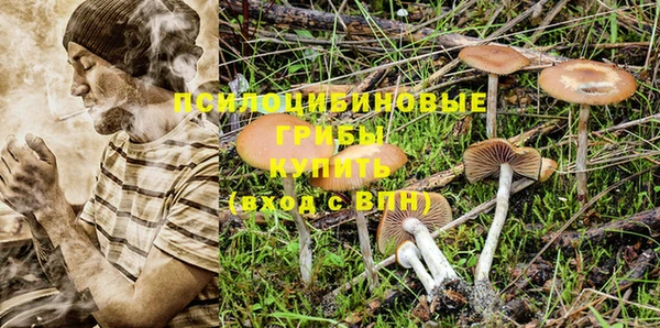 соль ск Елизово