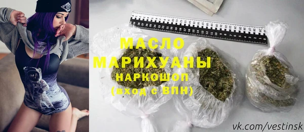 амф Ельня