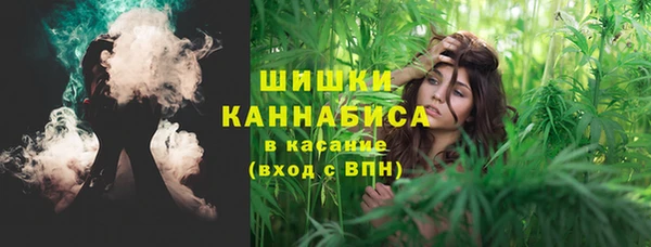 соль ск Елизово