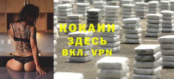 амф Ельня